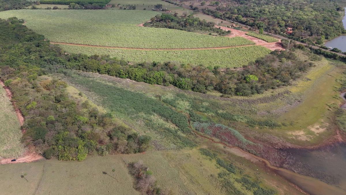 Bosque de entorno a preservar