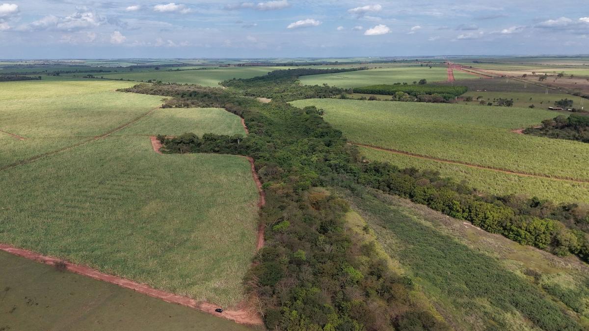 Mata ciliar remanescente no terreno em Icém